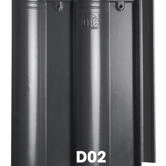 NGÓI DIC D02